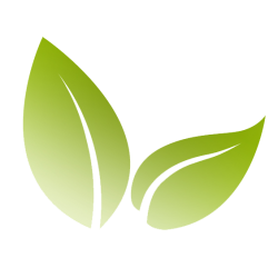 Eco-Friendly